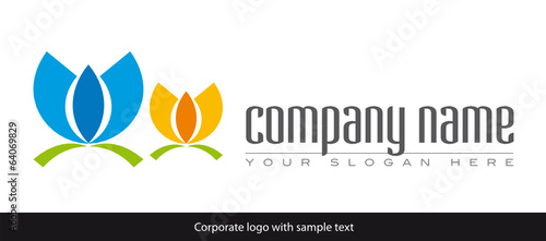 company two lotus