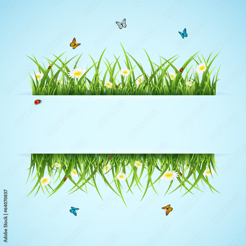 Obraz premium Banner with grass and flower