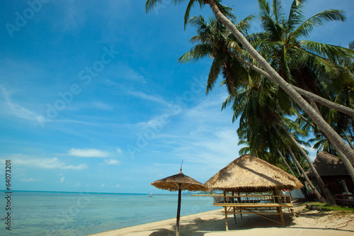 beach and coconut tree in Koh Phangan Thailand
