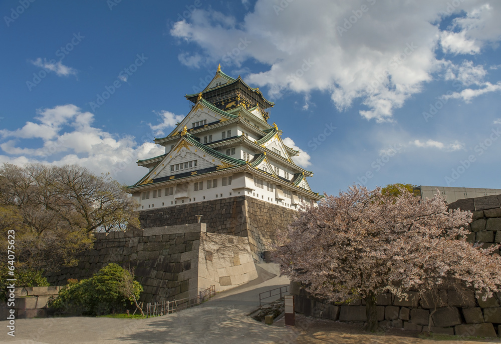 osaka castle with the cherry blossoms osaka castle with the cherry blossoms