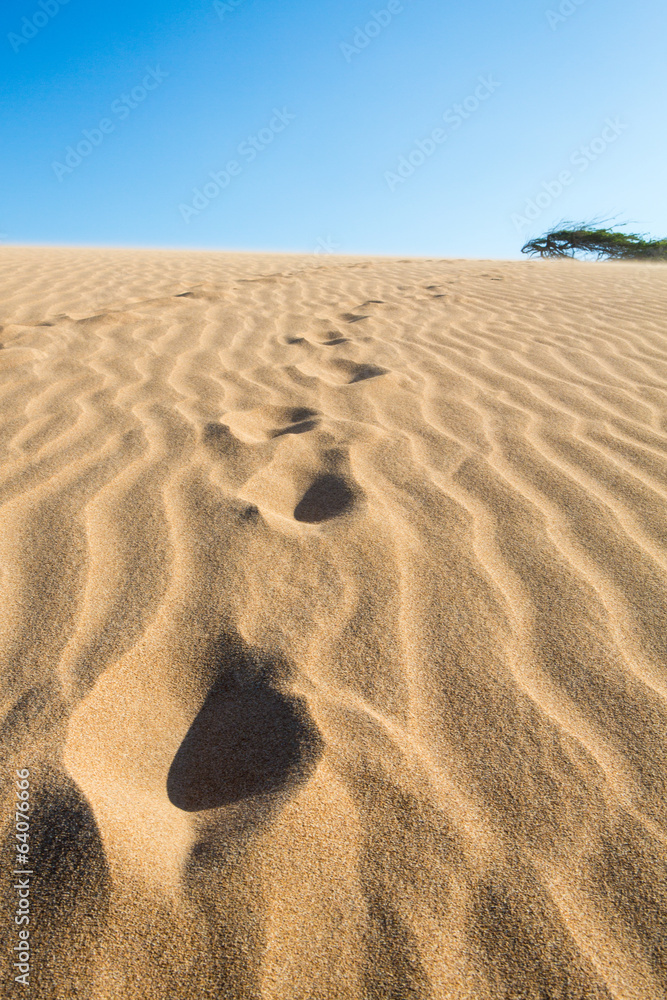 Fototapeta premium Massive sand dunes in La Guajira, Colombia