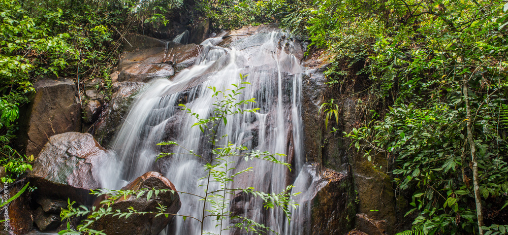 Fototapeta premium A waterfall in the jungle, Malaysia