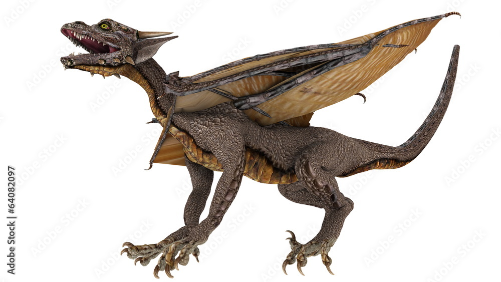 Naklejka premium ドラゴン