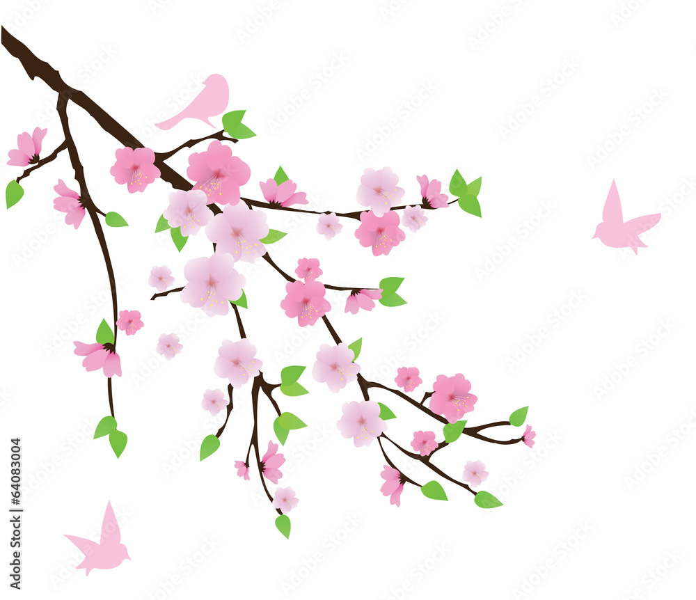 Naklejka premium vector cherry blossom with birds