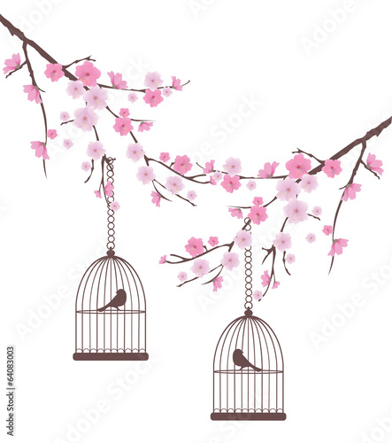 vector cherry blossom with birds in cages