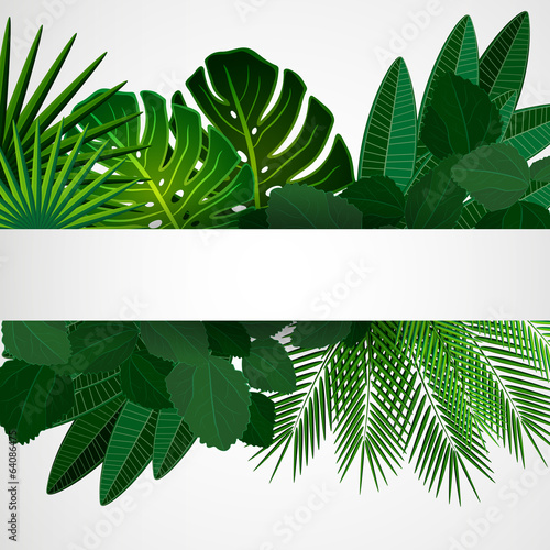 Floral design background.