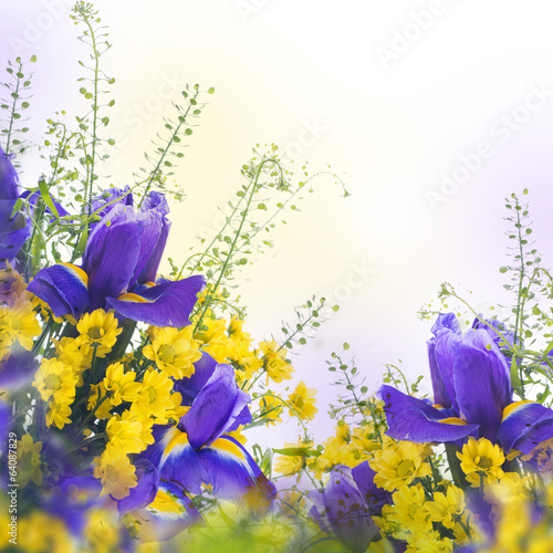 Fototapeta Naklejka Na Ścianę i Meble -  Blue irises with yellow daisies, floral background.