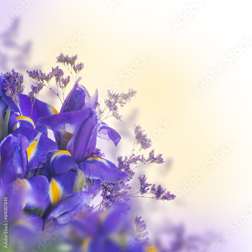 Fototapeta Naklejka Na Ścianę i Meble -  Blue irises with yellow daisies, floral background.