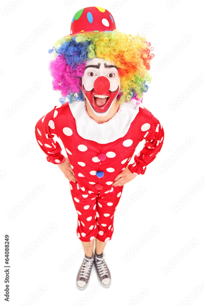 Funny male clown looking at camera