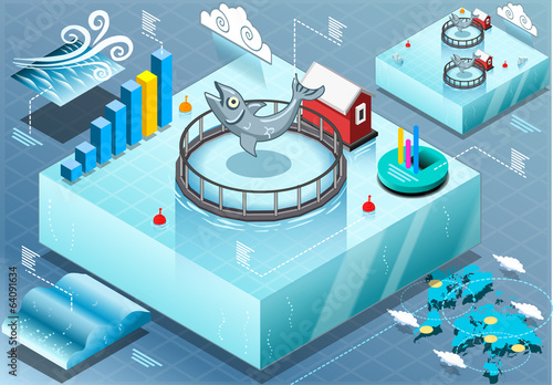Isometric Infographic of Sea Farmed Fish
