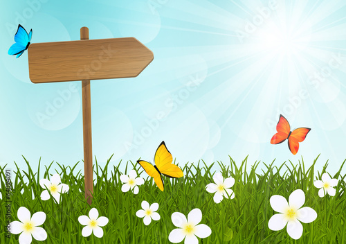Wooden signpost on green meadow