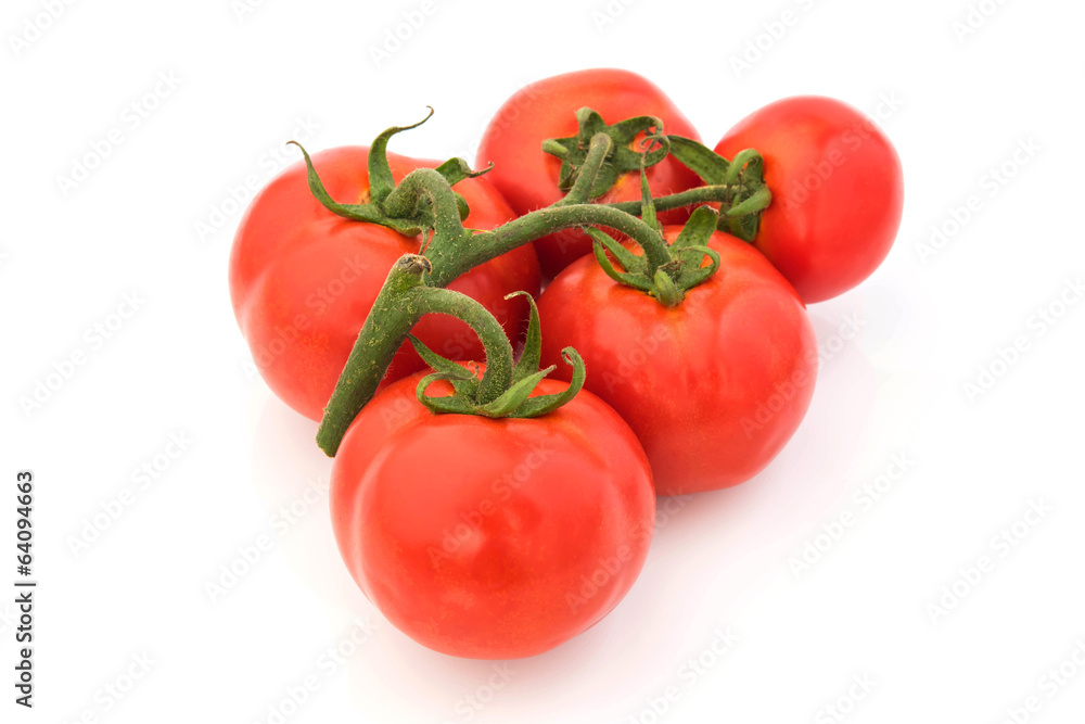 fresh red tomato isolated on white background. fresh red tomato isolated on white background.