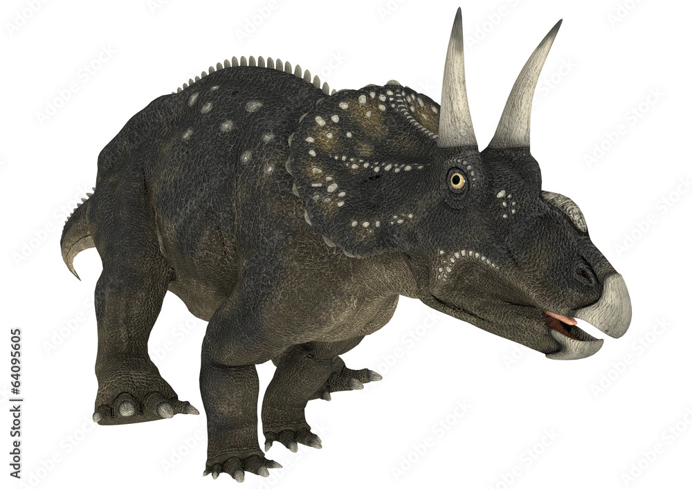 Fototapeta premium Dinosaur Diceratops