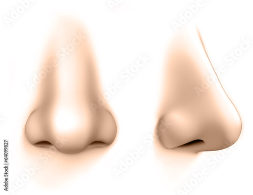 human nose isolates on white background photo