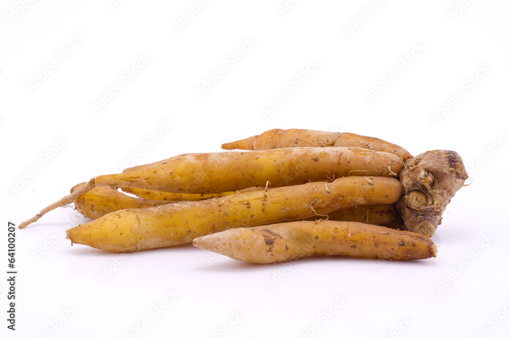 finger root finger root