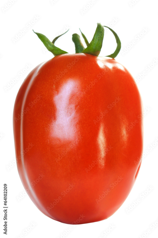 one fresh red tomato isolated on white one fresh red tomato isolated on white