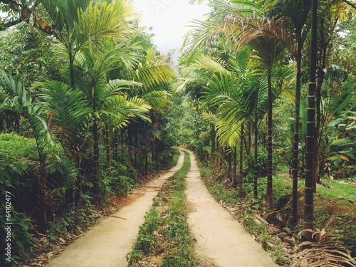 Road in Thailand