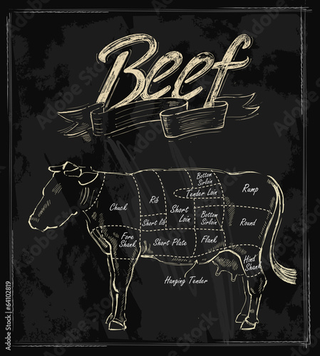 vector hand drawn beef
