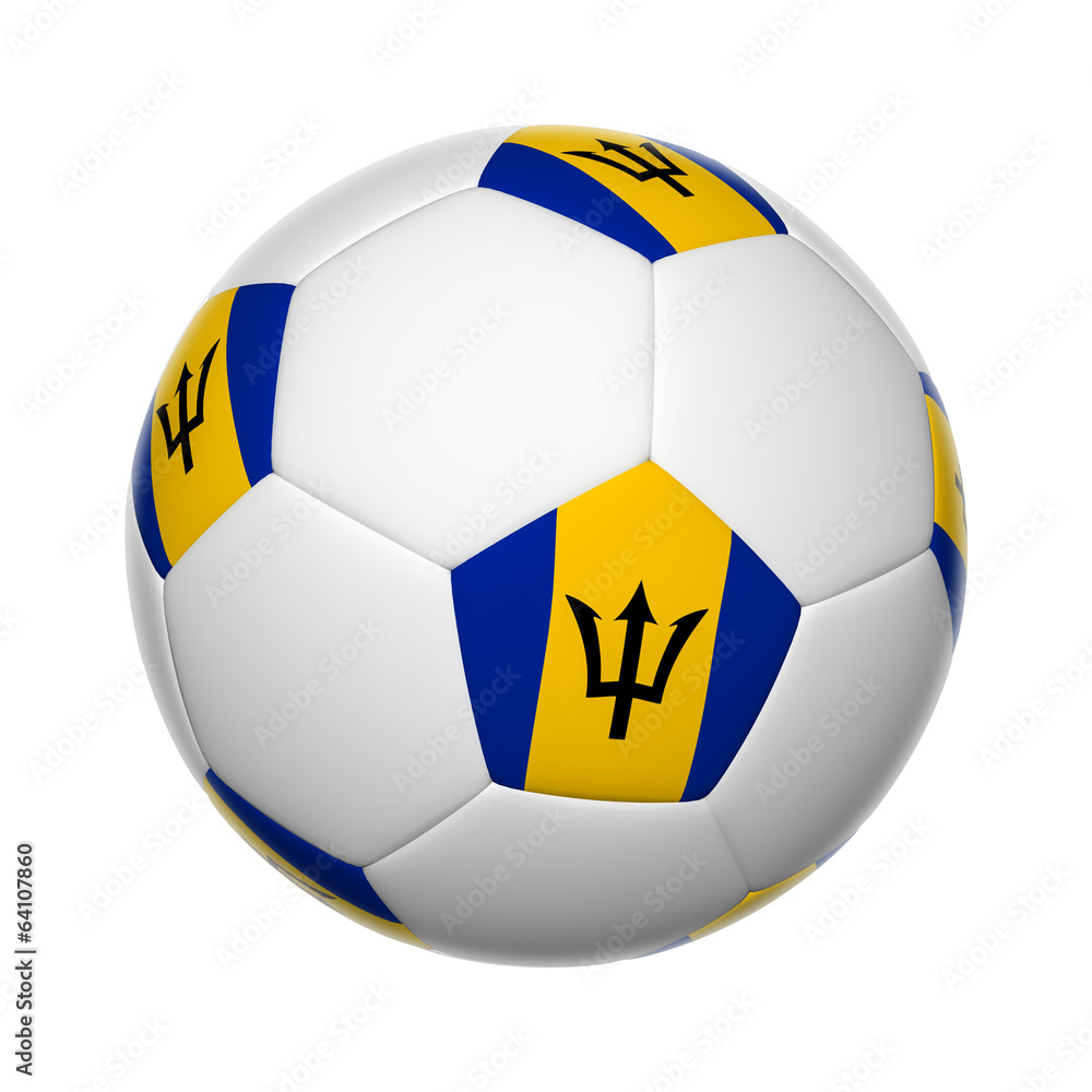 Obraz premium soccer ball