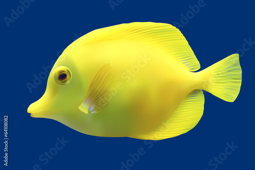 Yellow tropical fish. Vector illustration