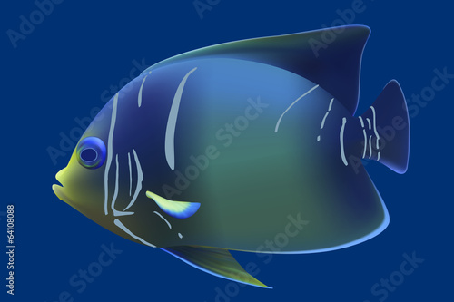 Blue tropical fish. Vector illustration