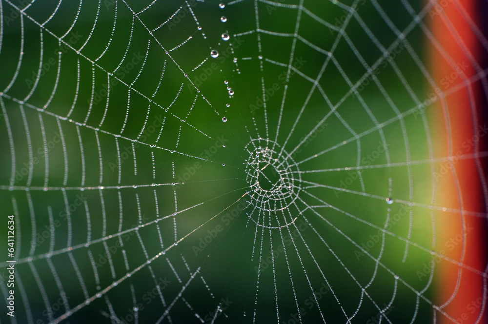 Obraz premium Netzwerk