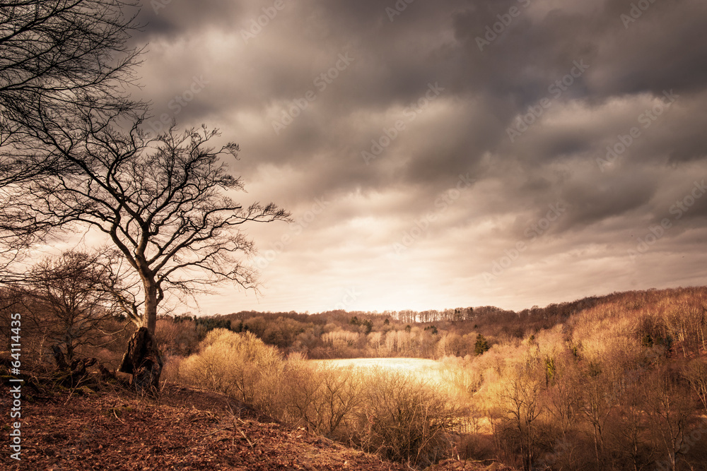 Obraz premium Dramatic landscape of a valley with sunshine shining through dar
