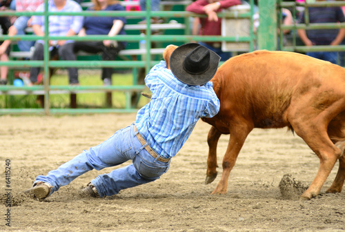 Steer Wrestling