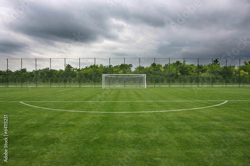 Goal at the stadium Soccer field with white lines