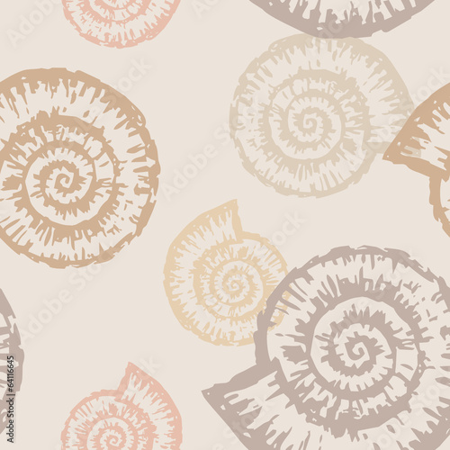 pattern of nautilus