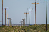 Utility Poles Standing in the Desert