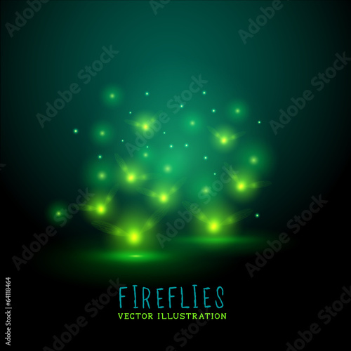 Glowing Flireflies photo