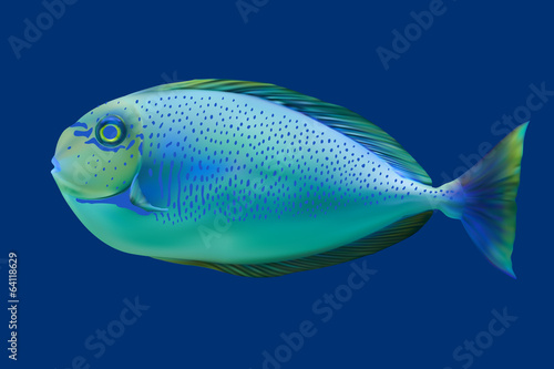 Blue tropical fish. Vector illustration