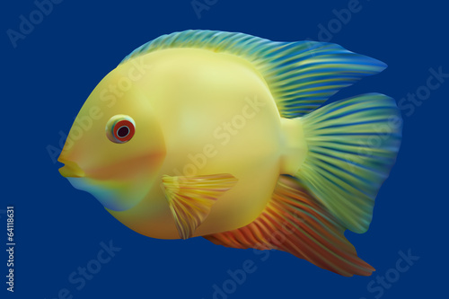 Golden tropical fish. Vector illustration