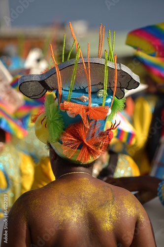 Le chapeau du lamantin photo