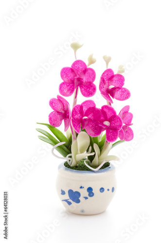 Wallpaper Mural Orchid Torontodigital.ca