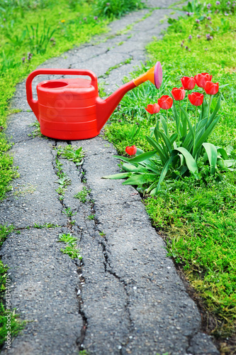 Red watering can in the garden