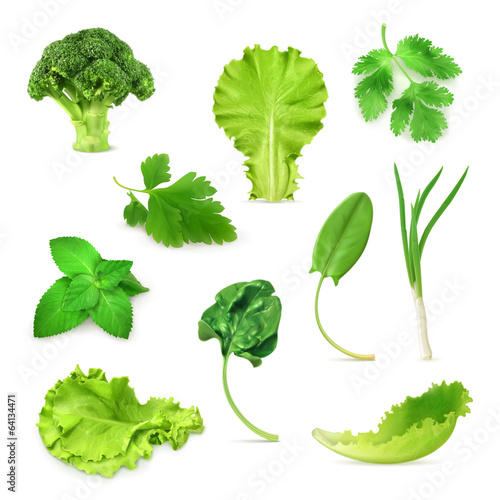 Green vegetables and herbs set