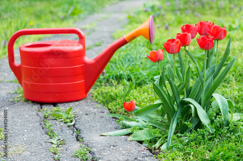 Red watering can in the garden