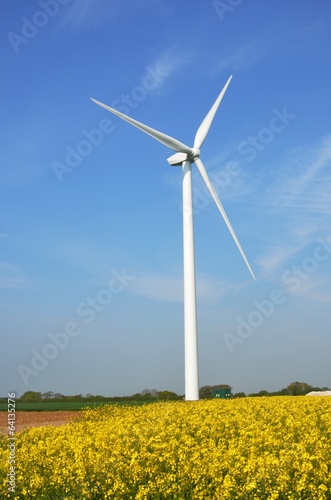 wind turbine in rape field © pauws99