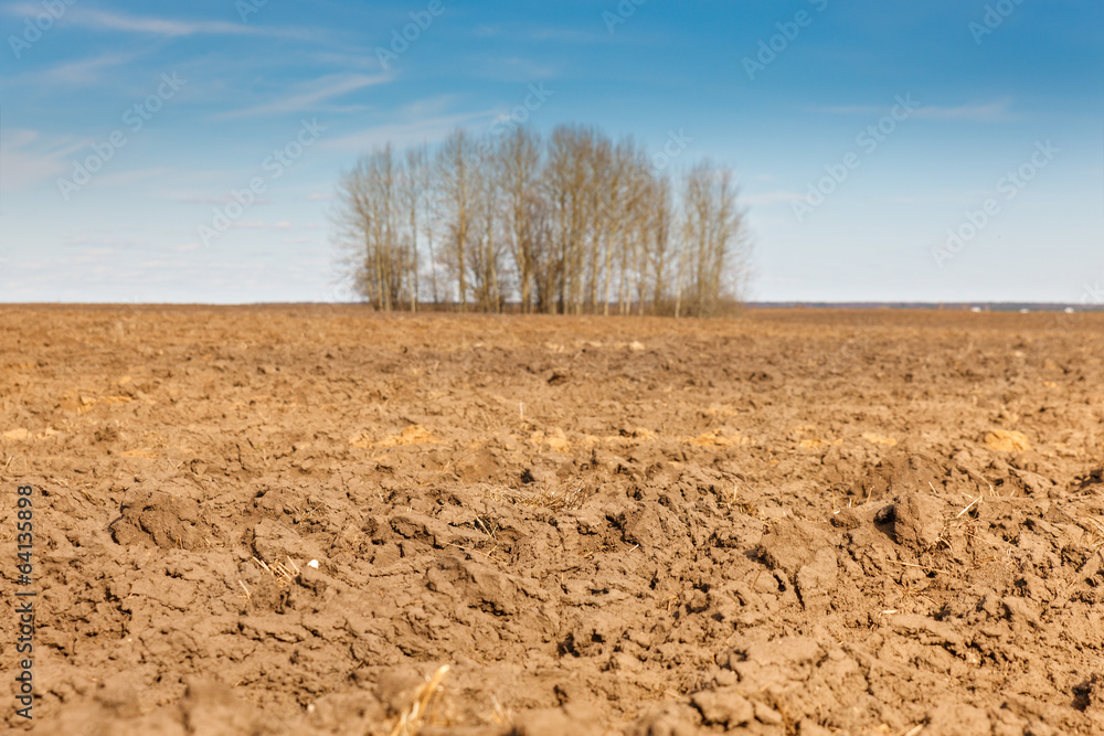 Fototapeta premium plowed rural field