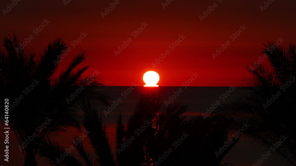 beautiful landscape with palms and sunrise over sea beautiful landscape with palms and sunrise over sea