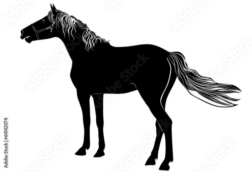 horse