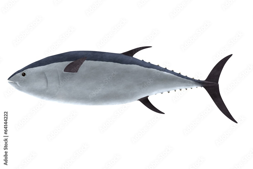 Fototapeta premium realistic 3d render of tuna fish