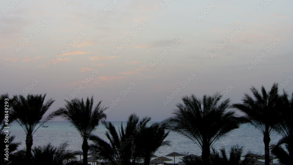 beautiful landscape with palms and sunrise over sea - timelapse beautiful landscape with palms and sunrise over sea - timelapse