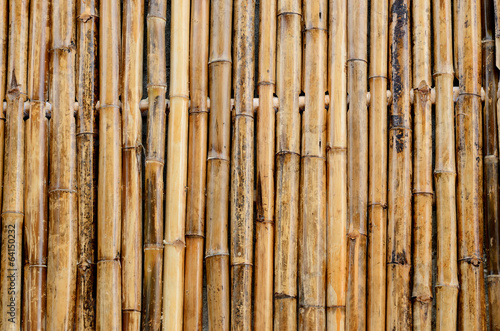 Bamboo wall decorate background