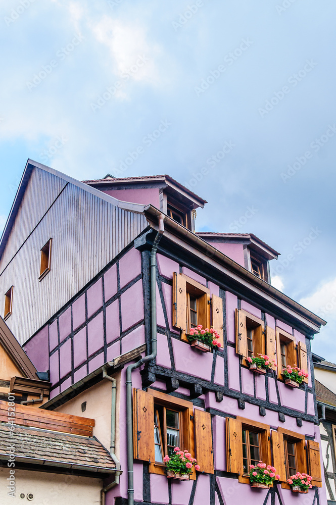 Obraz premium half timbered house in alsace