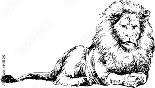 Fototapeta Naklejka Na Ścianę i Meble -  hand drawn lion