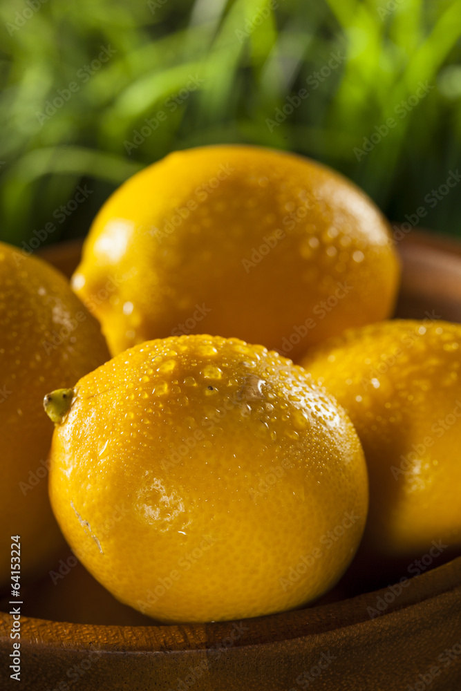 Organic Yellow Citrus Lemons Organic Yellow Citrus Lemons