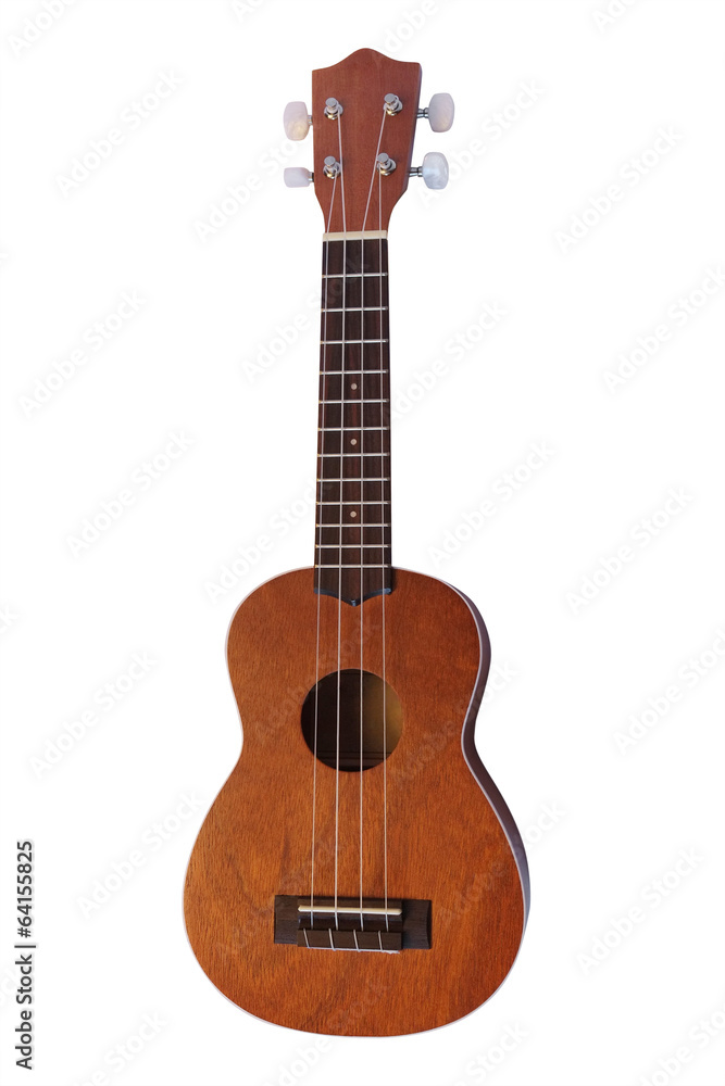 Naklejka premium The image of a hawaiian guitar